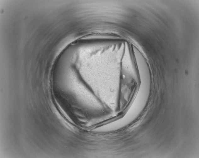 X0000065250803200603131126