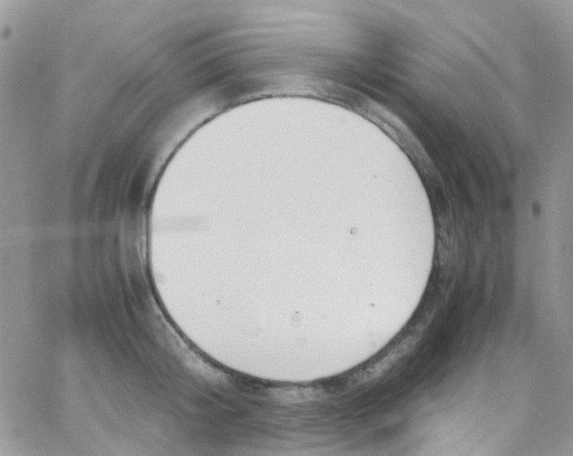 X0000065250804200603131126