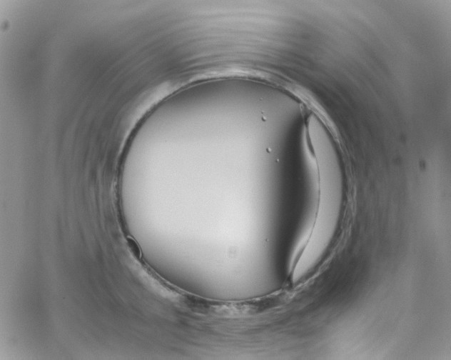 X0000065250805200603131126