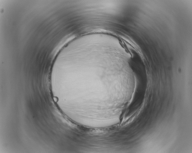 X0000065250806200603131126