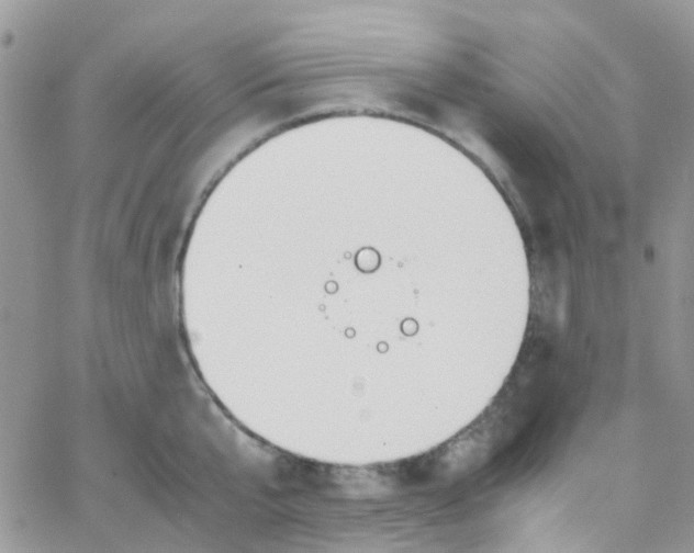 X0000065250807200603131126