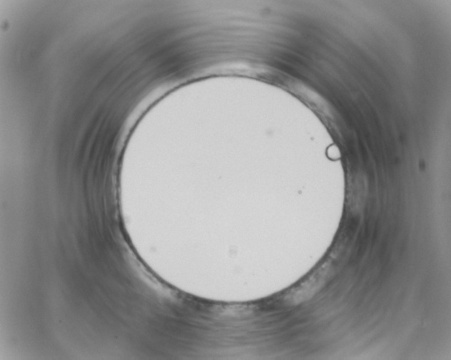 X0000065250808200603131126