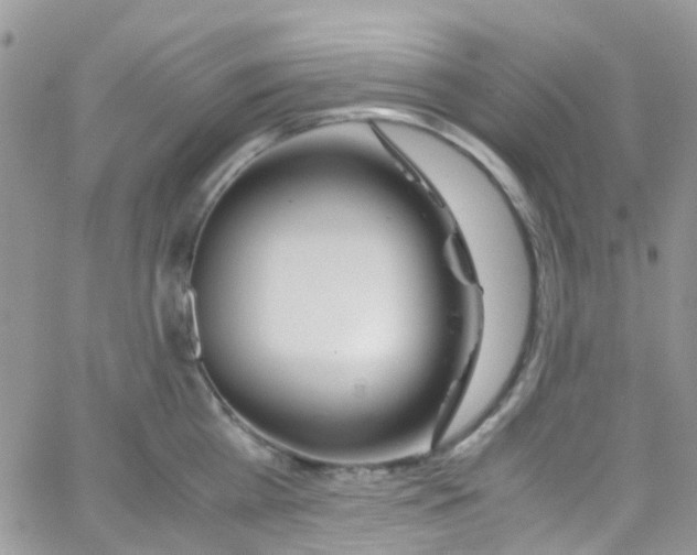 X0000065250809200603131126