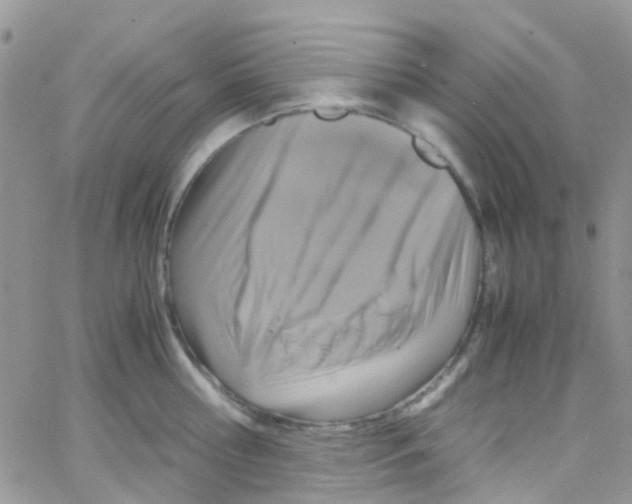 X0000065250810200603131126