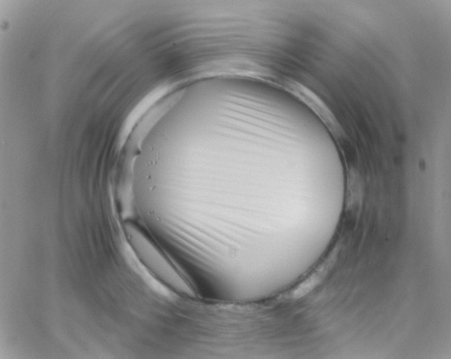 X0000065250812200603131126