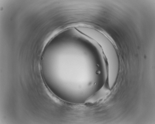 X0000065250813200603131126