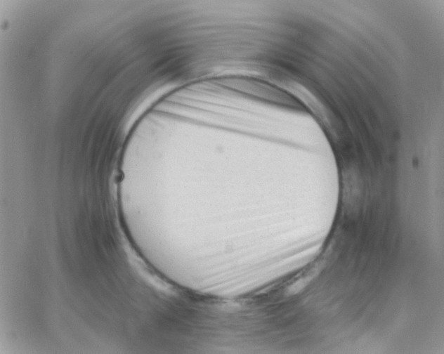 X0000065250814200603131126