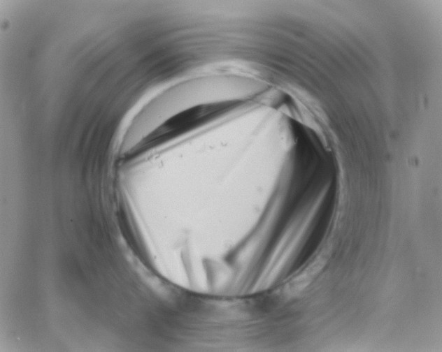 X0000065250816200603131126