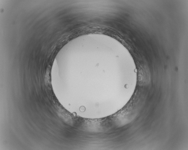 X0000065250820200603131125