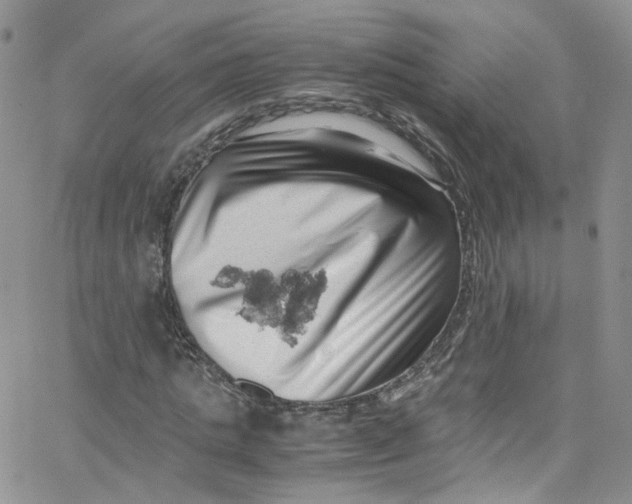 X0000065250821200603131125