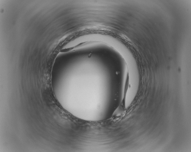 X0000065250822200603131125