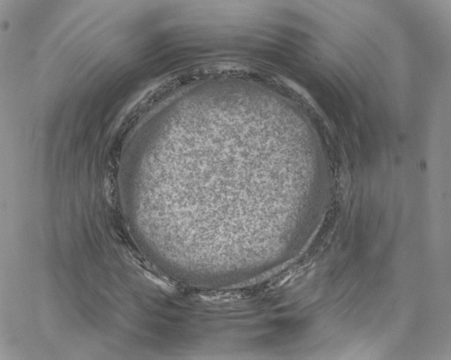 X0000065250823200603131125