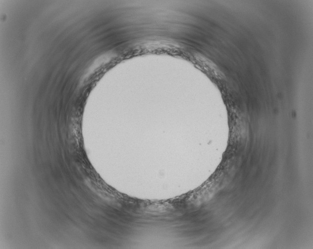 X0000065250824200603131125