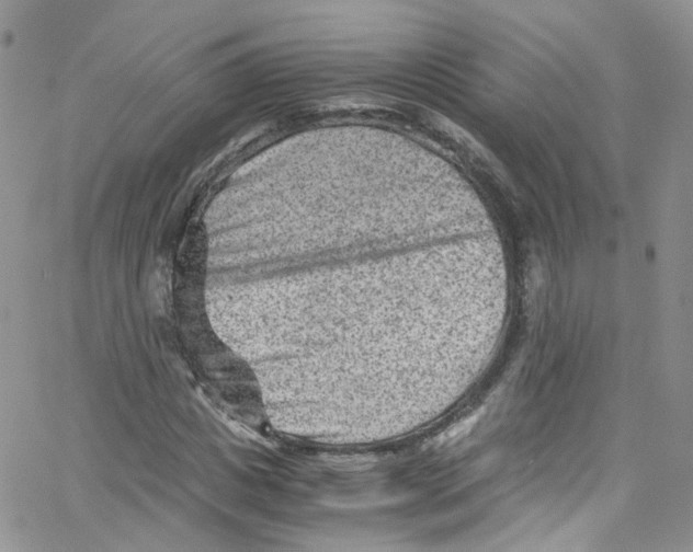 X0000065250825200603131125