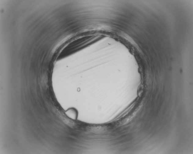 X0000065250826200603131125