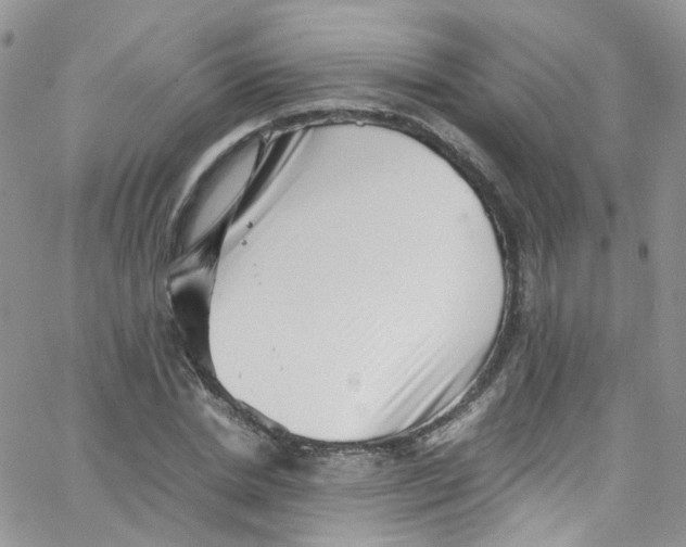 X0000065250830200603131126