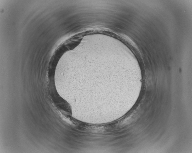 X0000065250831200603131126