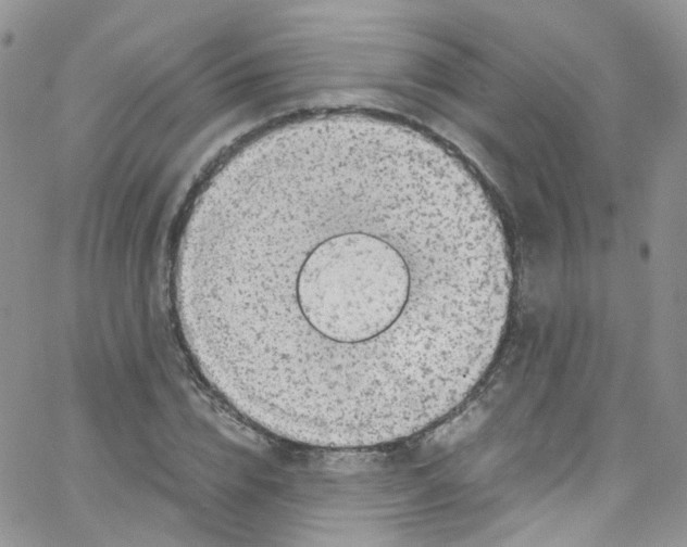 X0000065250832200603131126