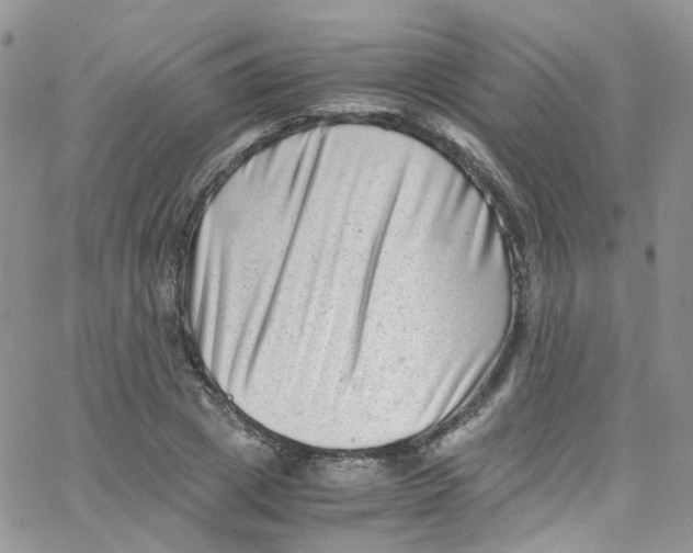 X0000065250833200603131126