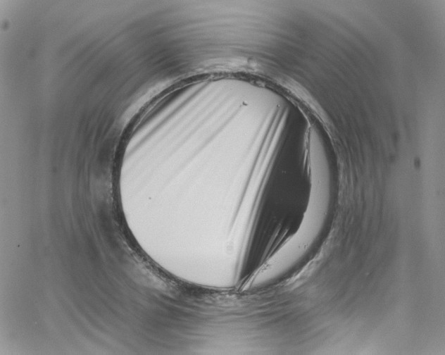 X0000065250834200603131126