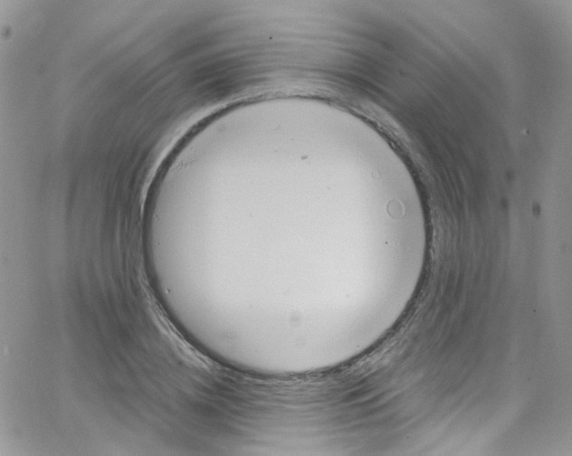 X0000065250836200603131126