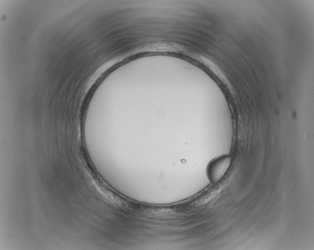 X0000065250837200603131126