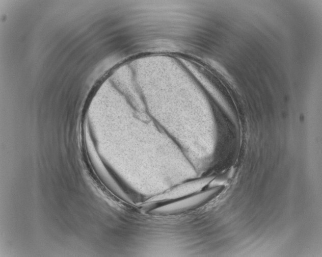 X0000065250840200603131126