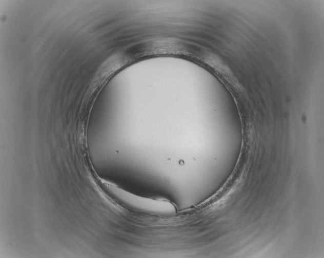 X0000065250841200603131126