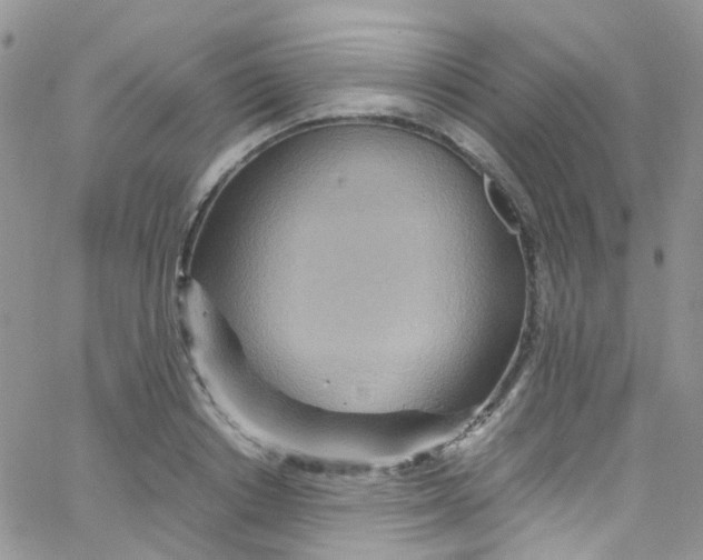 X0000065250842200603131126