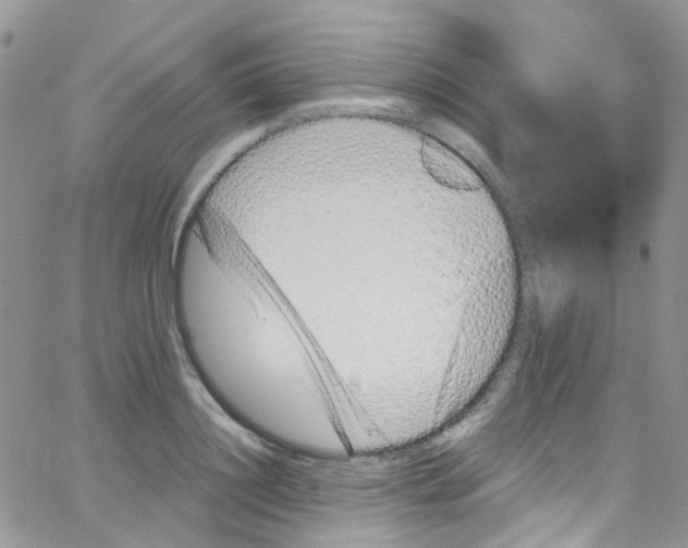 X0000065250844200603131126