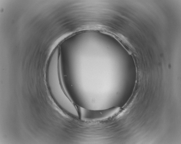 X0000065250846200603131126