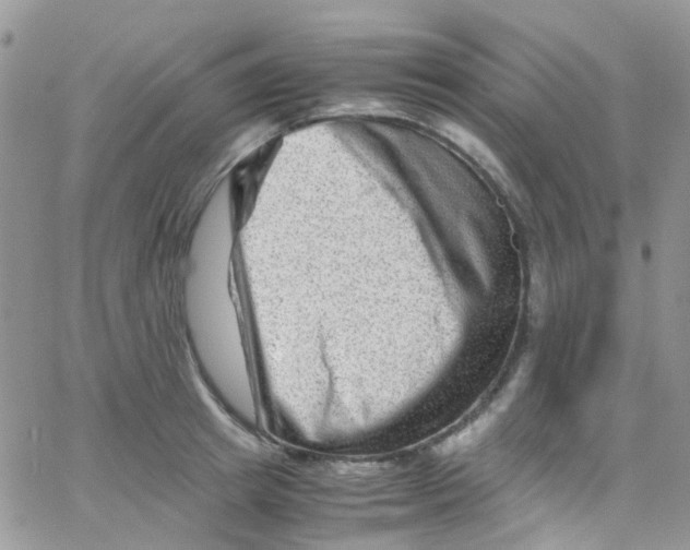 X0000065250849200603131126