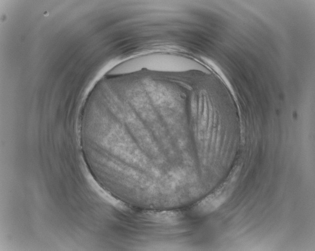 X0000065250851200603131126