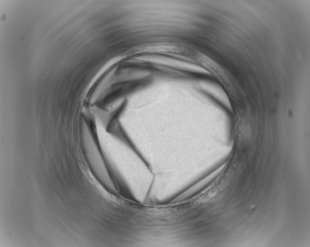 X0000065250852200603131126