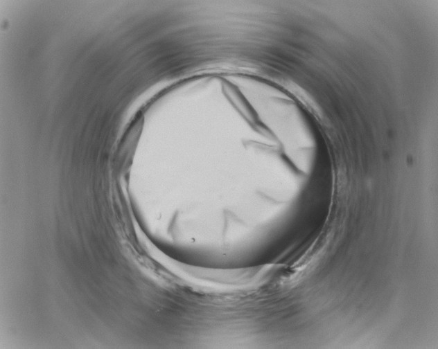 X0000065250854200603131126