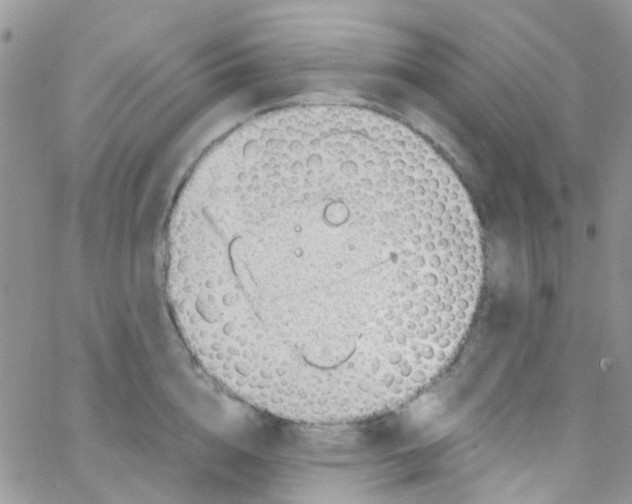 X0000065250856200603131126