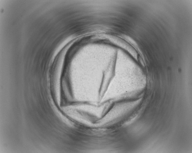 X0000065250859200603131126