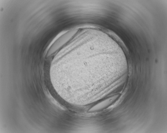 X0000065250860200603131126