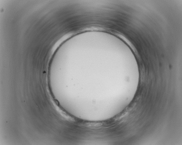 X0000065250861200603131126