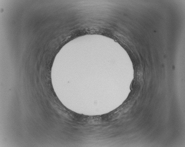 X0000065250865200603131125