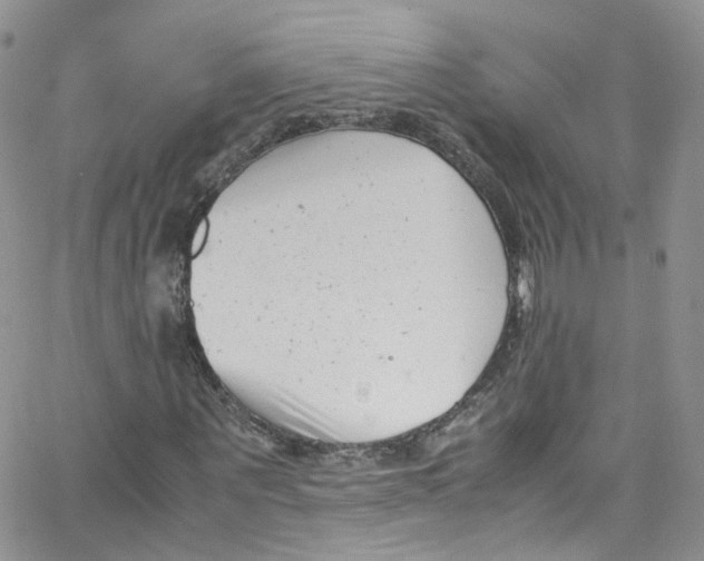 X0000065250867200603131125