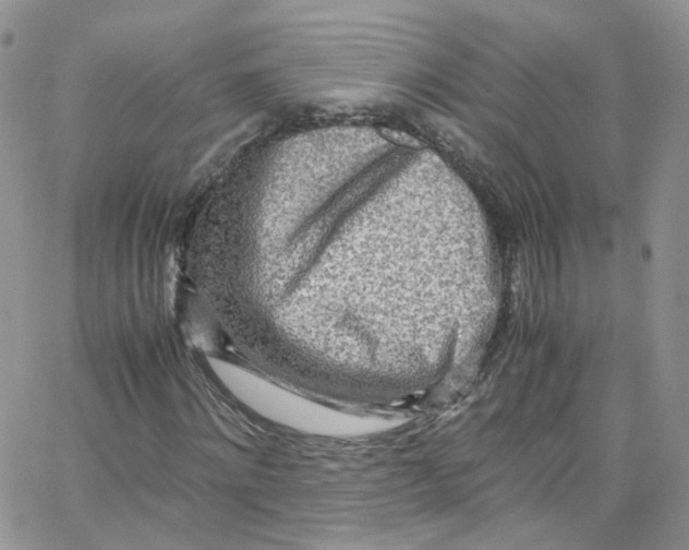 X0000065250868200603131125