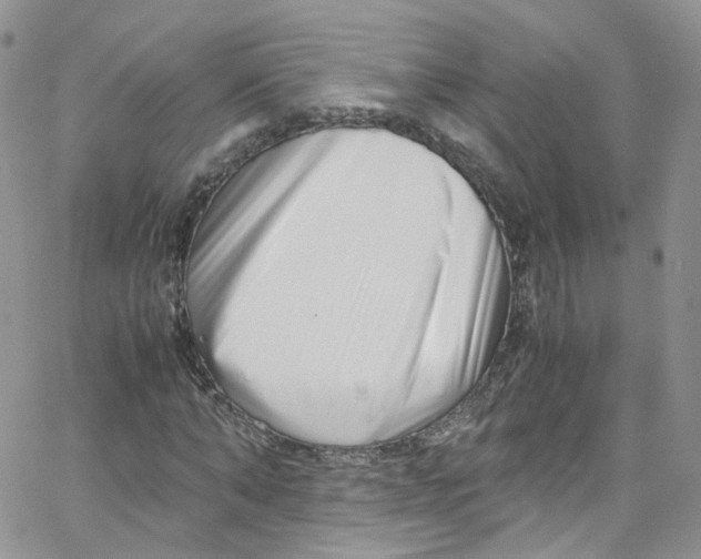 X0000065250870200603131125