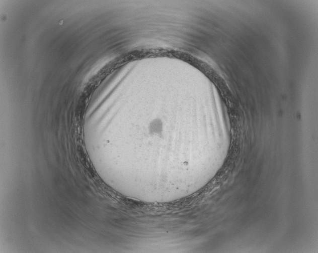 X0000065250871200603131125