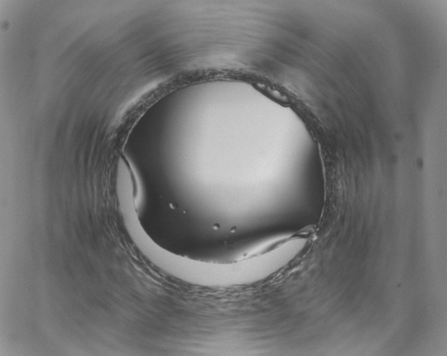 X0000065250872200603131125