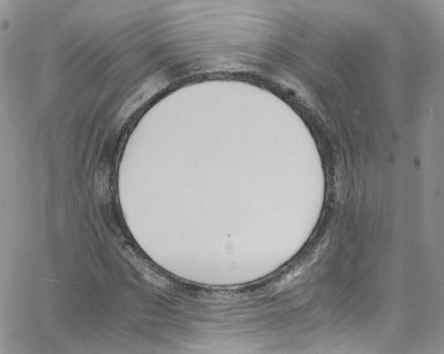 X0000065250873200603131125