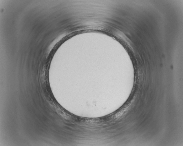 X0000065250875200603131125