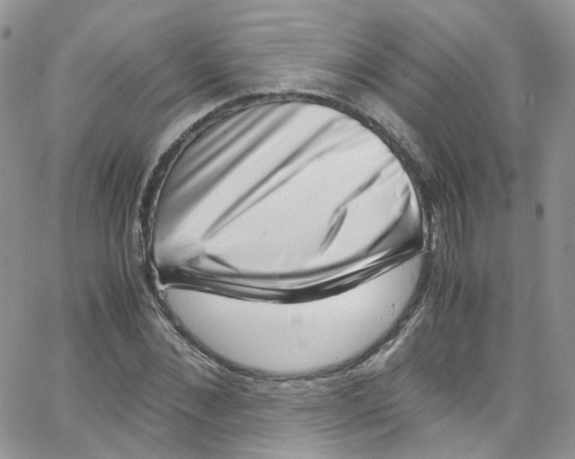 X0000065250876200603131125