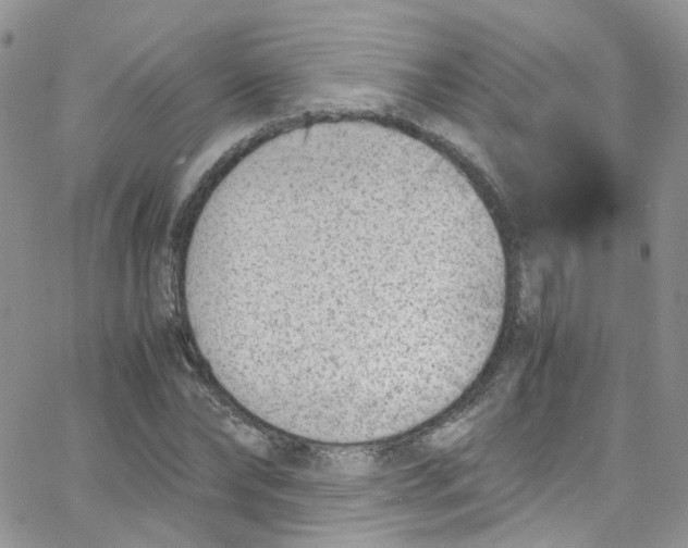 X0000065250878200603131125