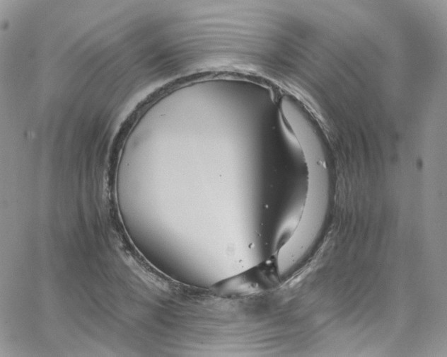 X0000065250880200603131125